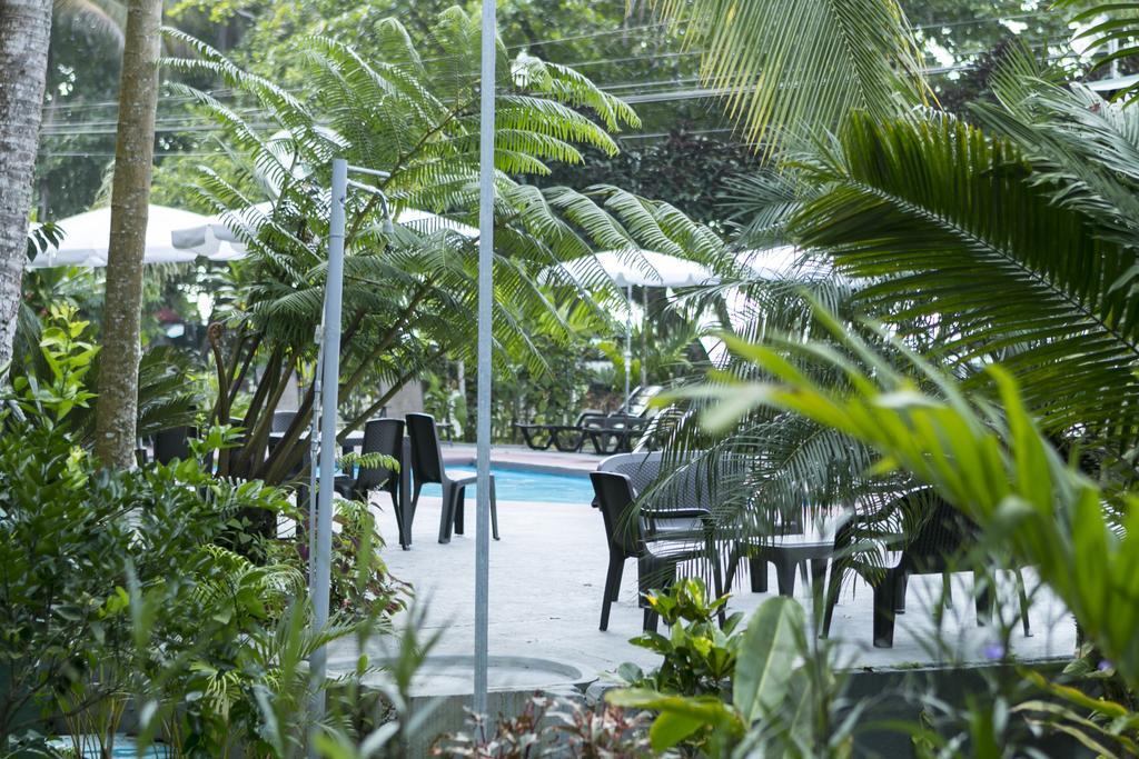 Hotel La Isla Inn Puerto Viejo de Talamanca 외부 사진