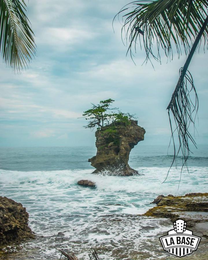 Hotel La Isla Inn Puerto Viejo de Talamanca 외부 사진